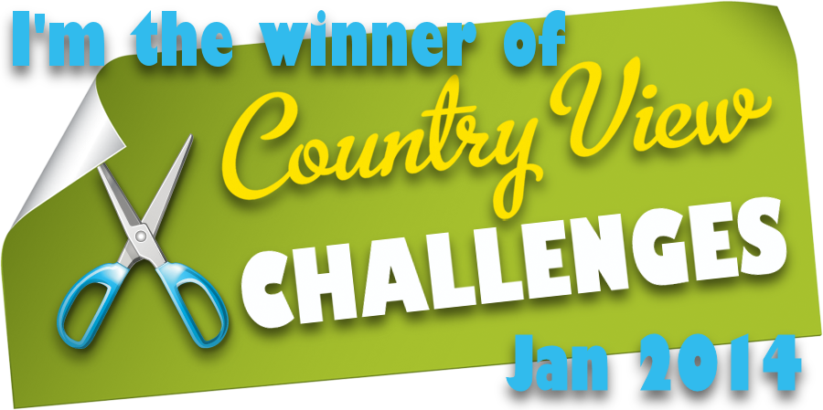 Winner: Country View Challenges Jan 2014