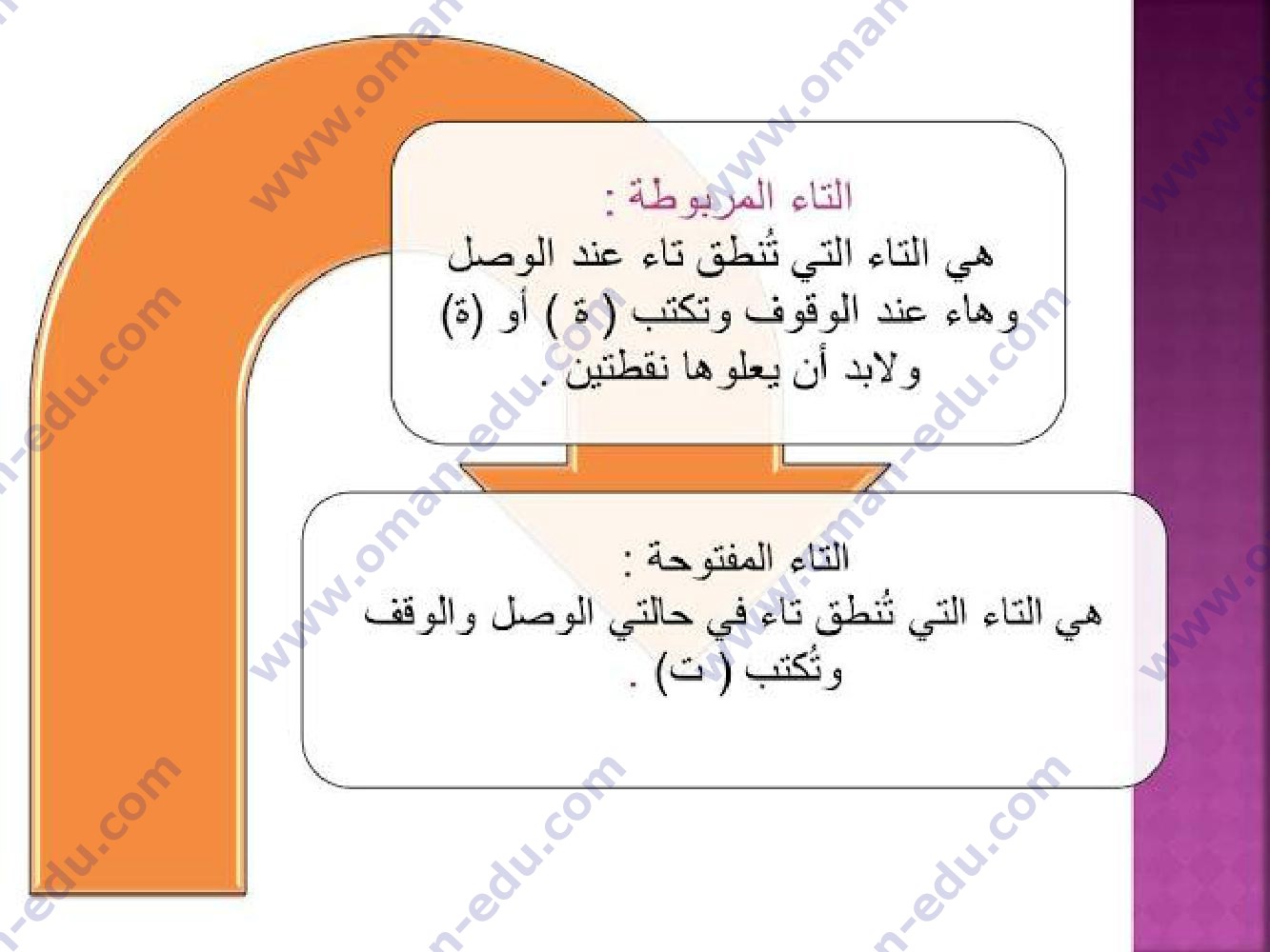 التاء المفتوحة تنطق تاء عند الوصل والوقف