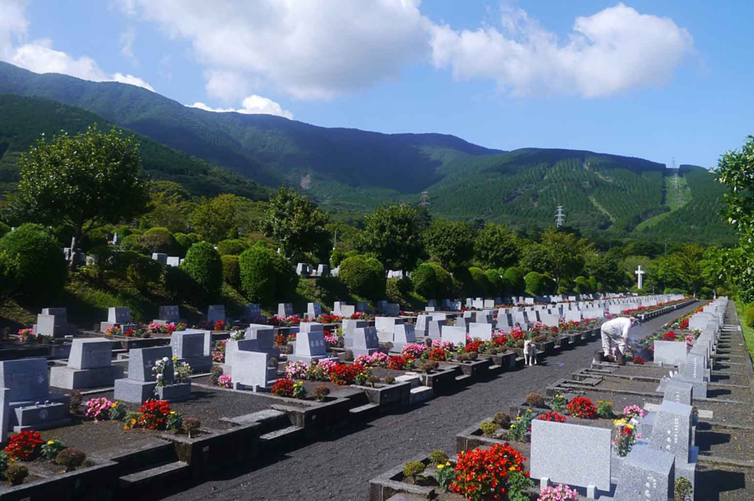 Facts On Cremation That You Should Be Aware Of Facts On Cremation That You Should Be Aware Of