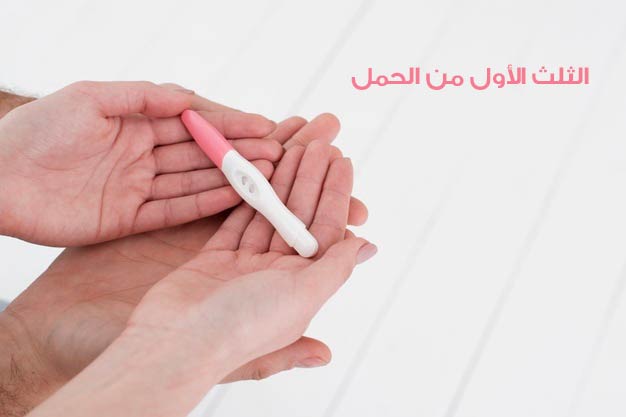 مراحل تكون الجنين بالاسابيع وبالتفصيل