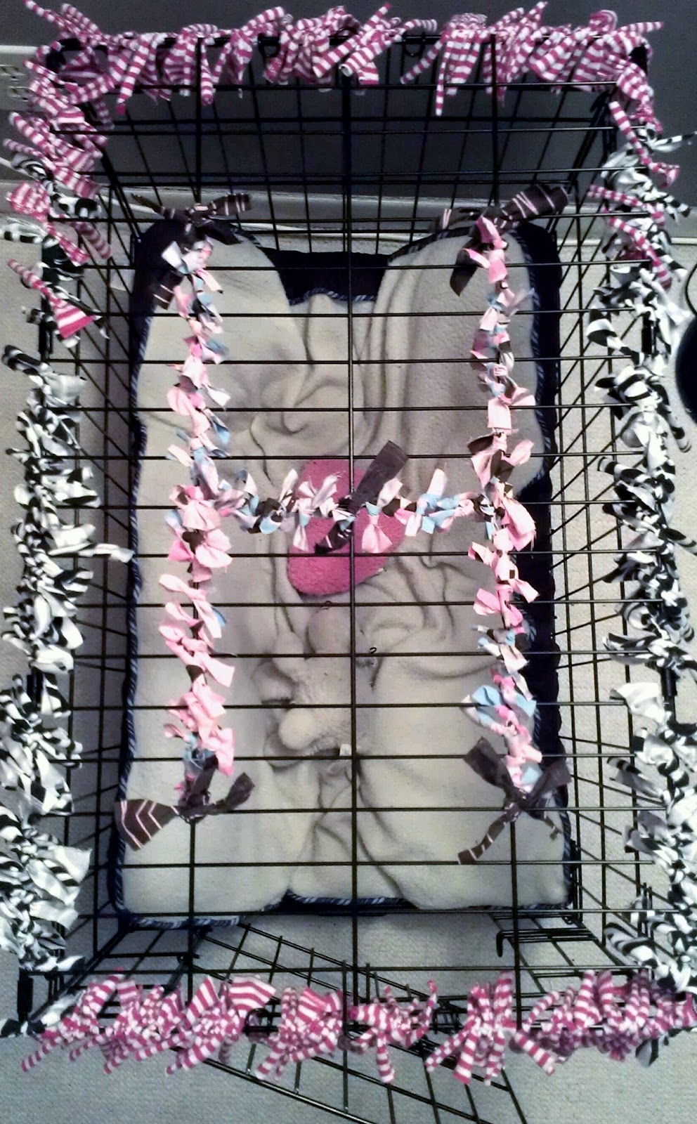 DIY Personalized Dog Kennels and Crates