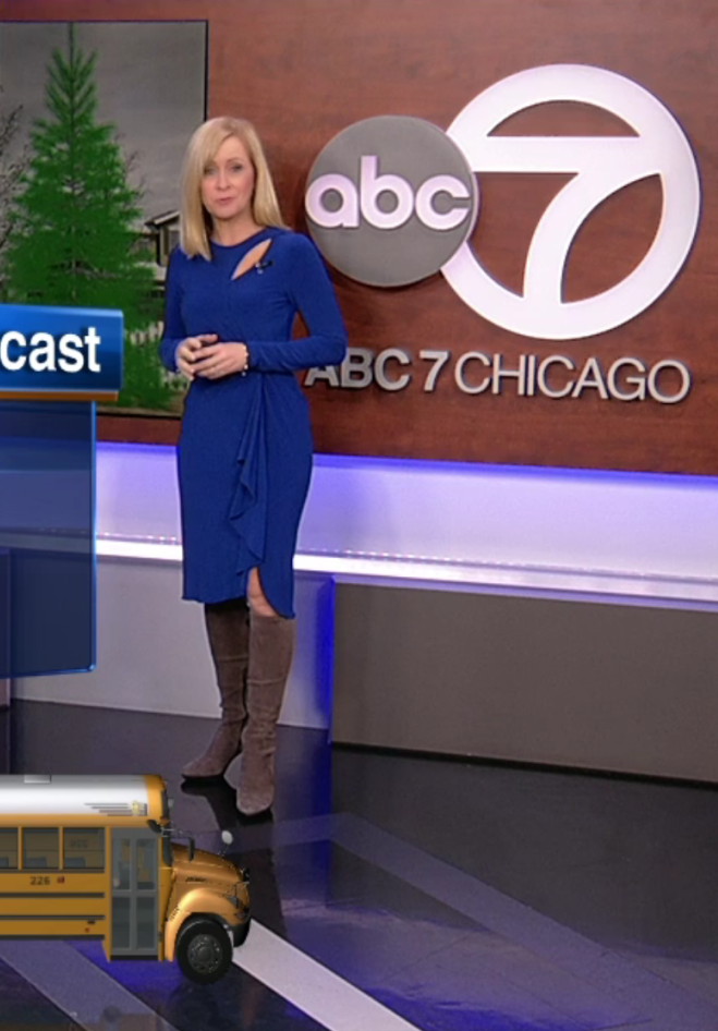 THE APPRECIATION OF BOOTED NEWS WOMEN BLOG tracy butler