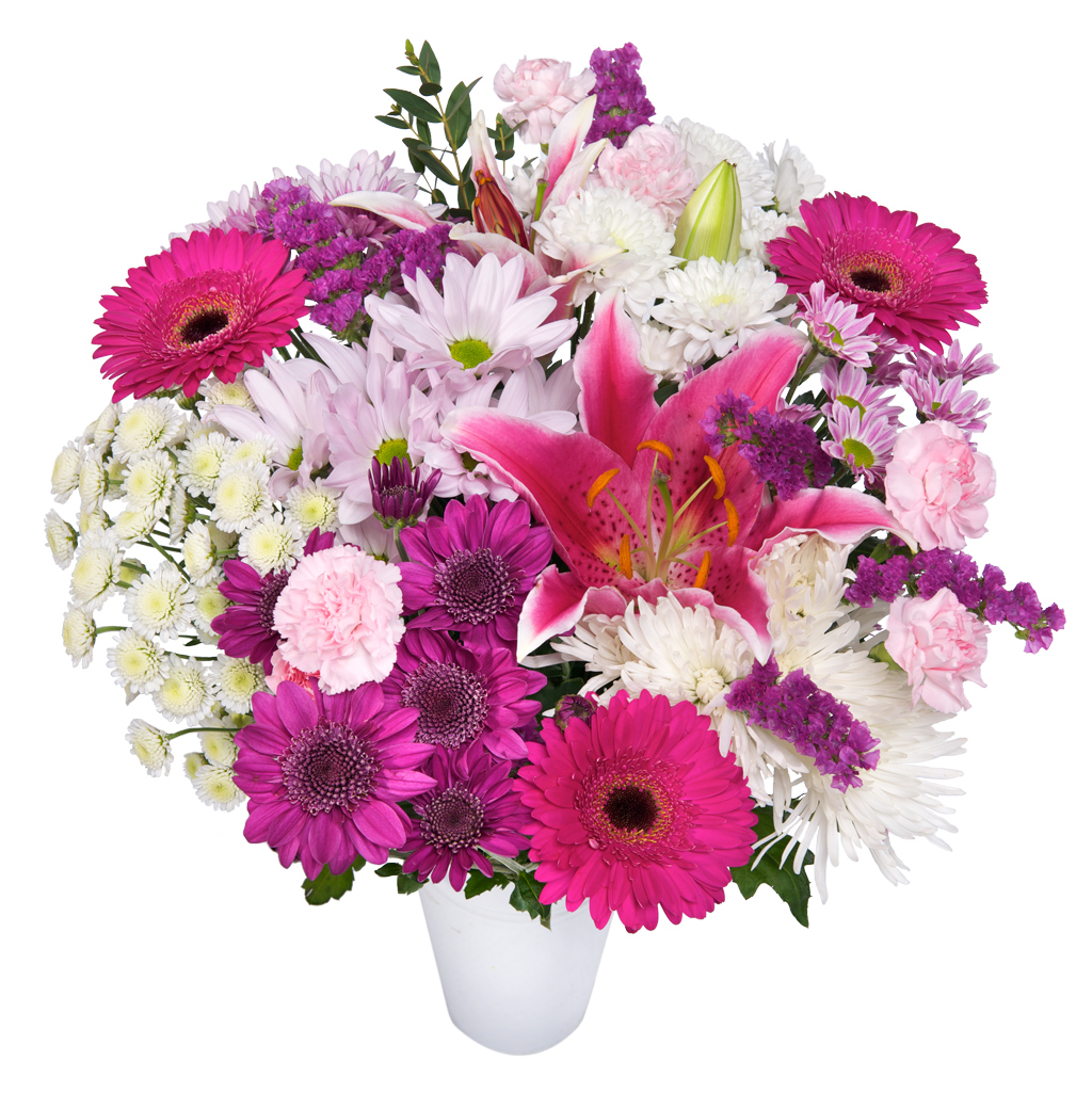 King's Daughters: Pink Blush Giveaway