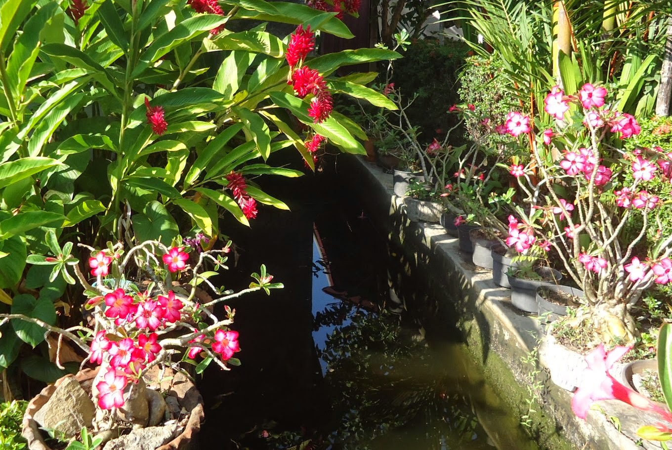 Oktober 2014 Cerita Ulat Sutra