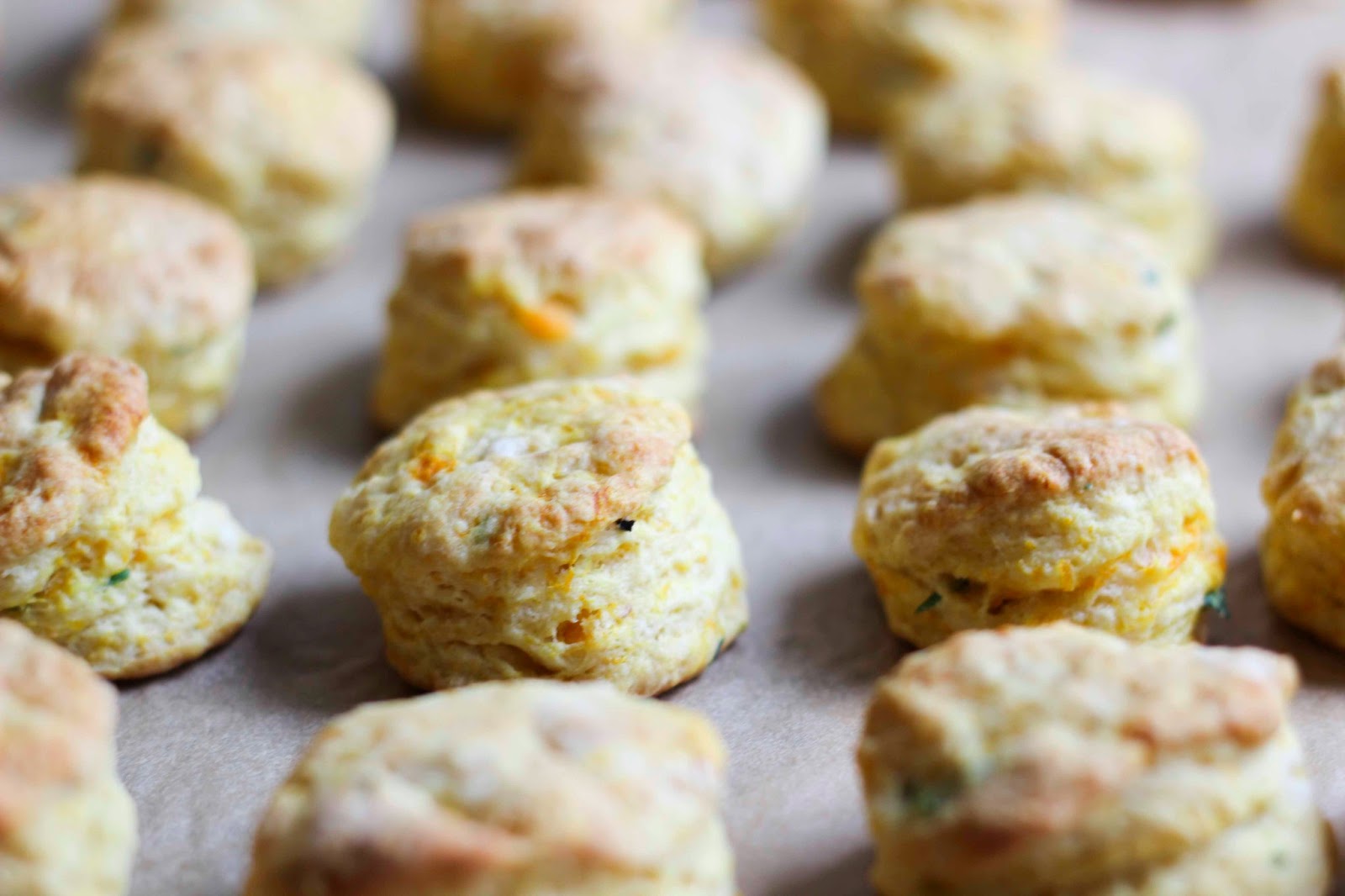 Edible biology Vegan Roasted Squash and Tarragon Biscuits