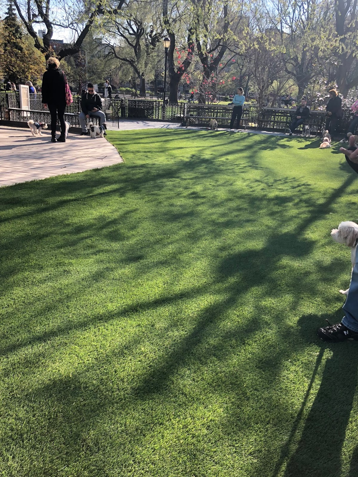 Ev Grieve Renovated Small Dog Run Reopens In Tompkins Square Park