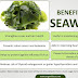 Benefits Of Seaweed