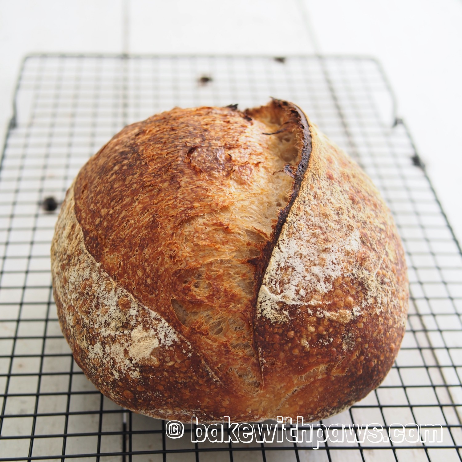 Basic Open Crumb Sourdough Bread (High Hydration) BAKE WITH PAWS