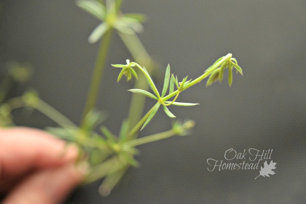 How To Dry Cleavers at Samual Bird blog