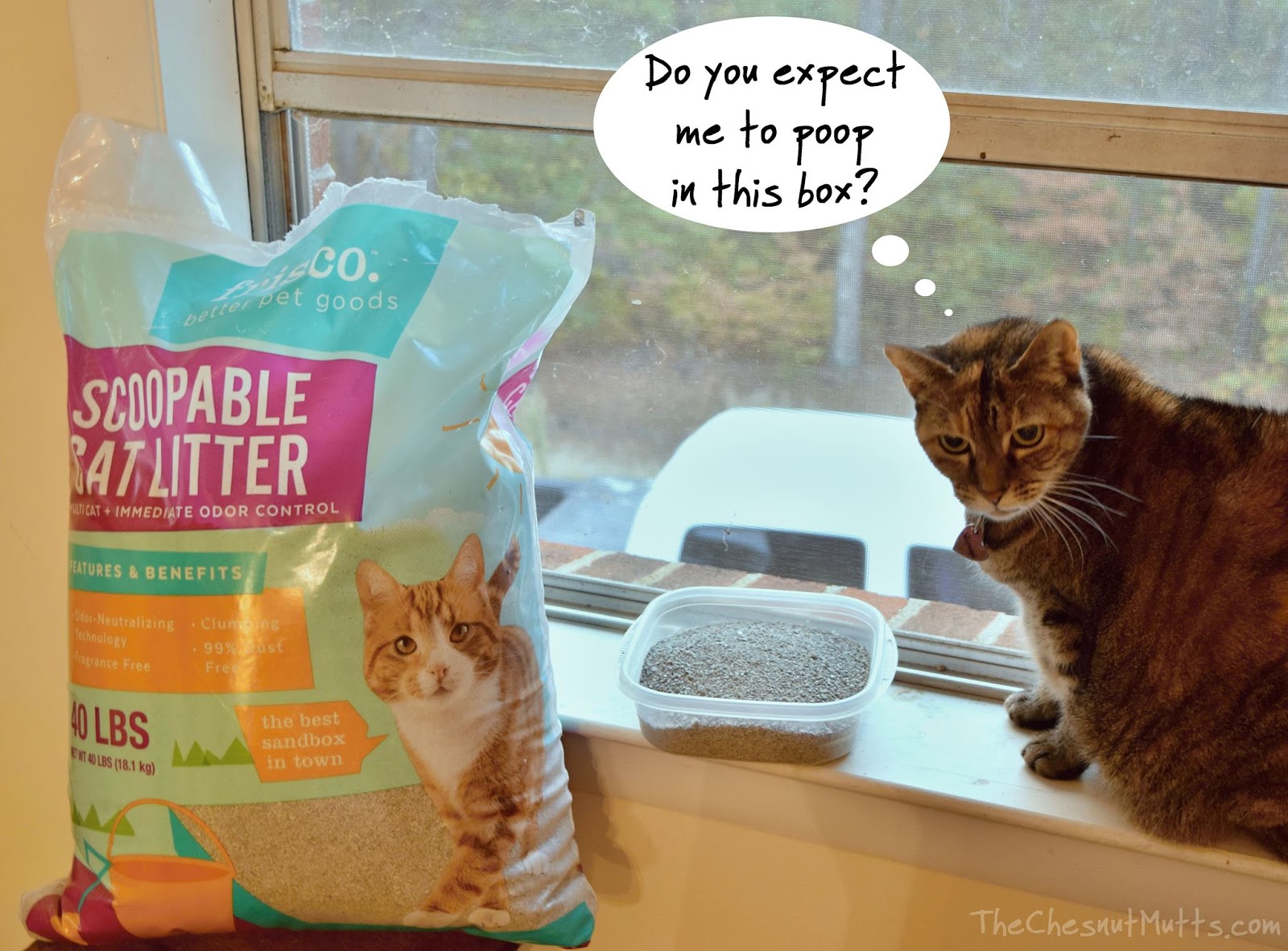 Mini Review Frisco MultCat Clumping Cat Litter The Chesnut Mutts