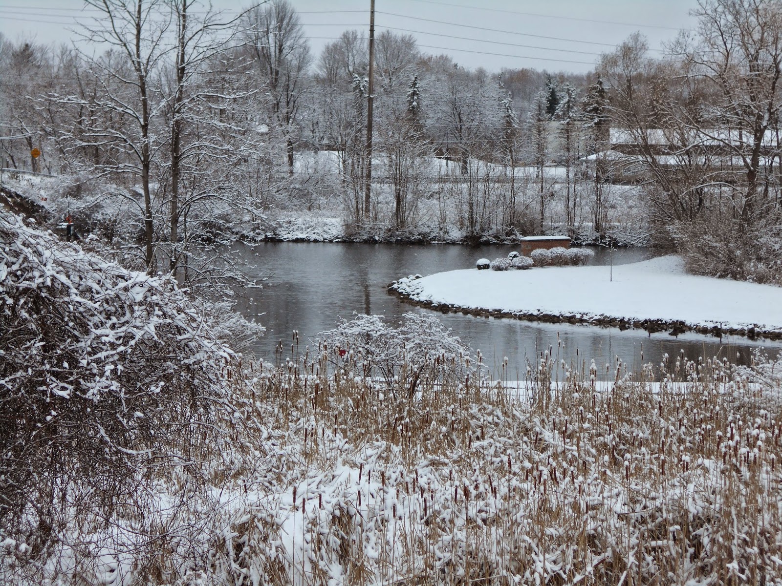 New York State of Mind WINTER ON THE ERIE CANAL