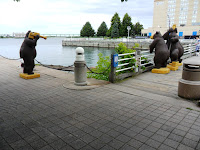 water front in Sault Ste Marie