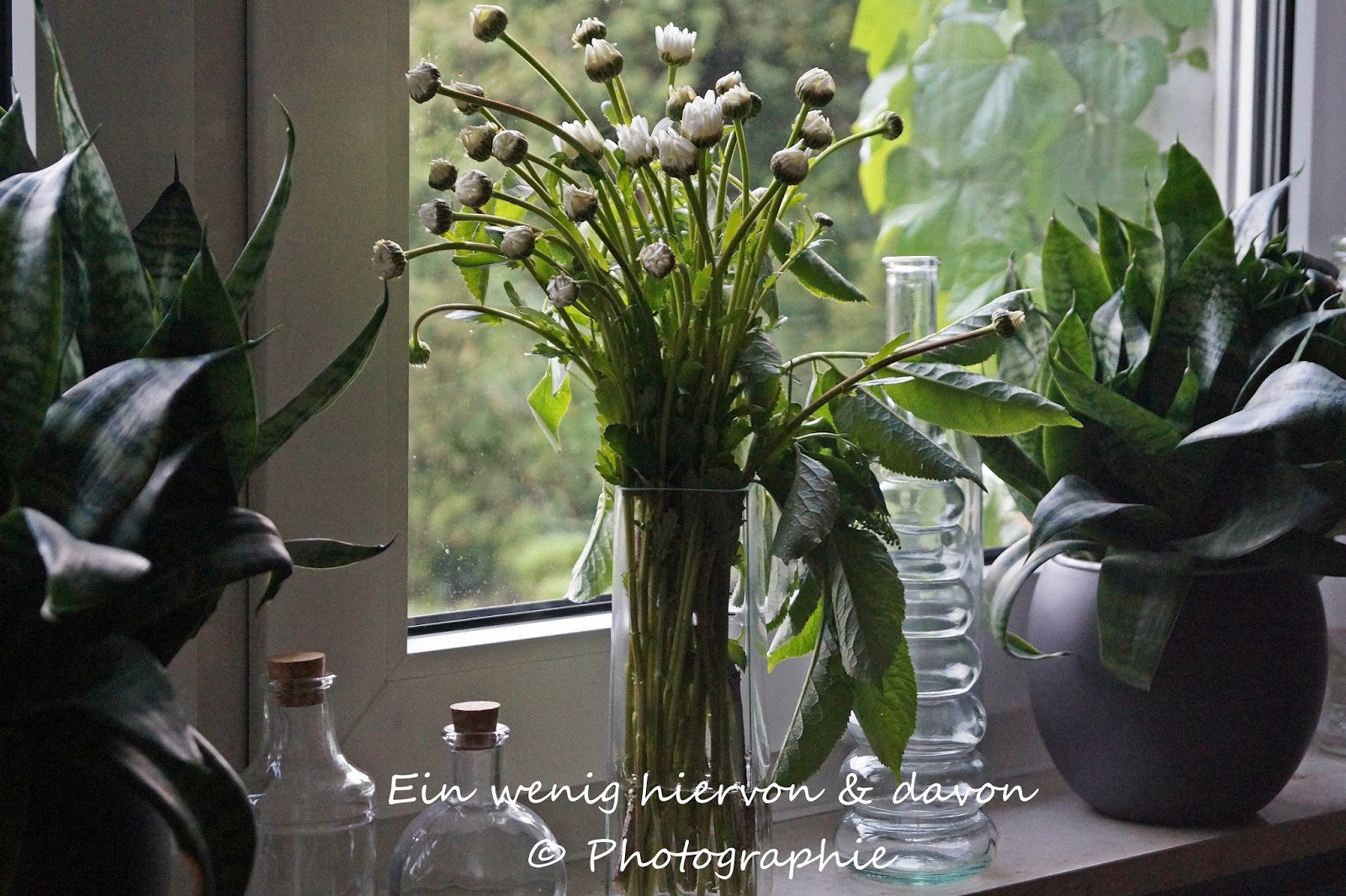 Blog & Fotografie by it's me! | Lifestyle |  http://www.einwenighiervonunddavon.de