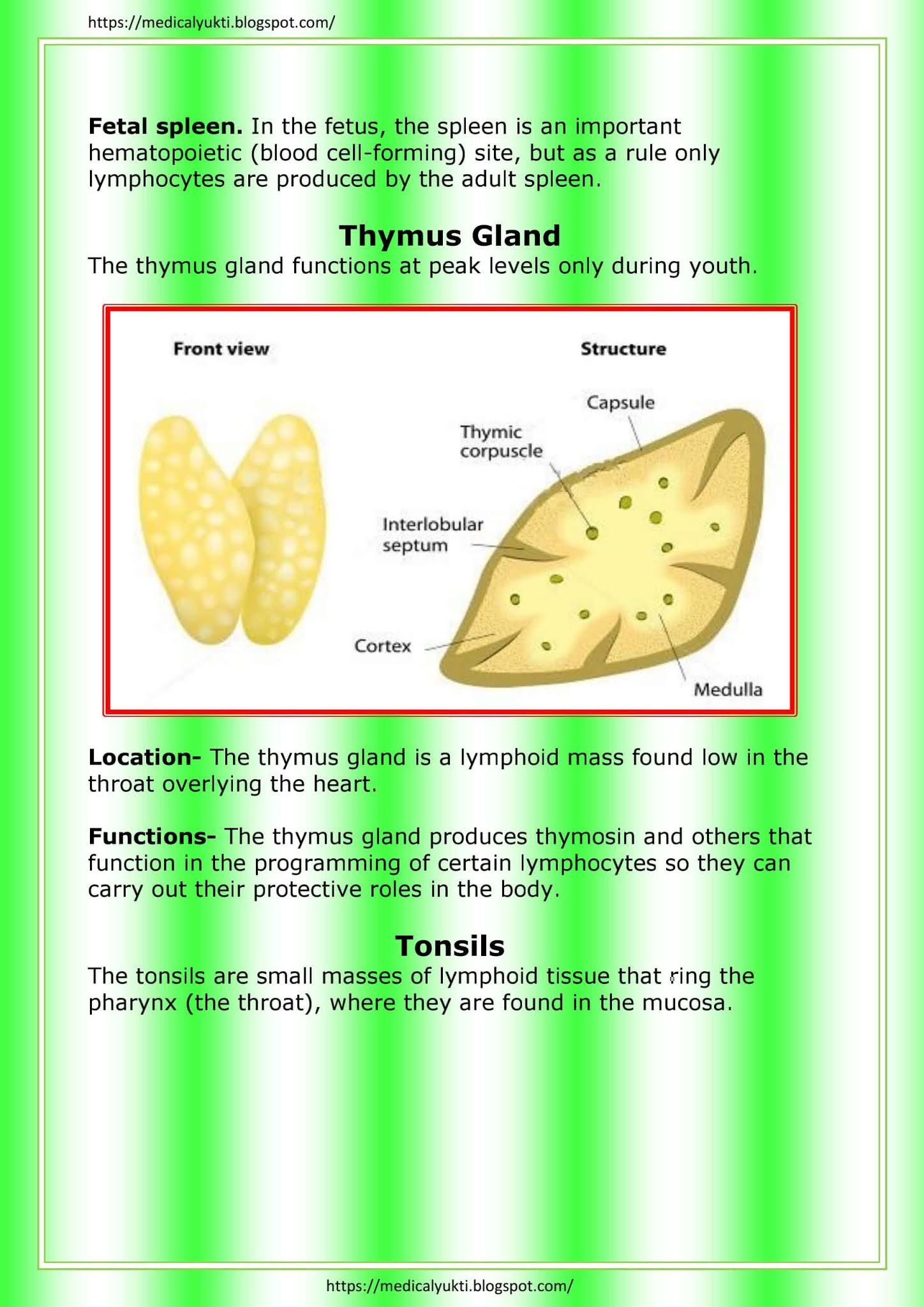 Lymphatic System Anatomy Physiology - Medical Yukti