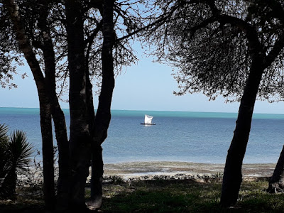 piragua-tradicional-vezo-en-las-playas-de-ifaty-en-madagascar-con-enlacima