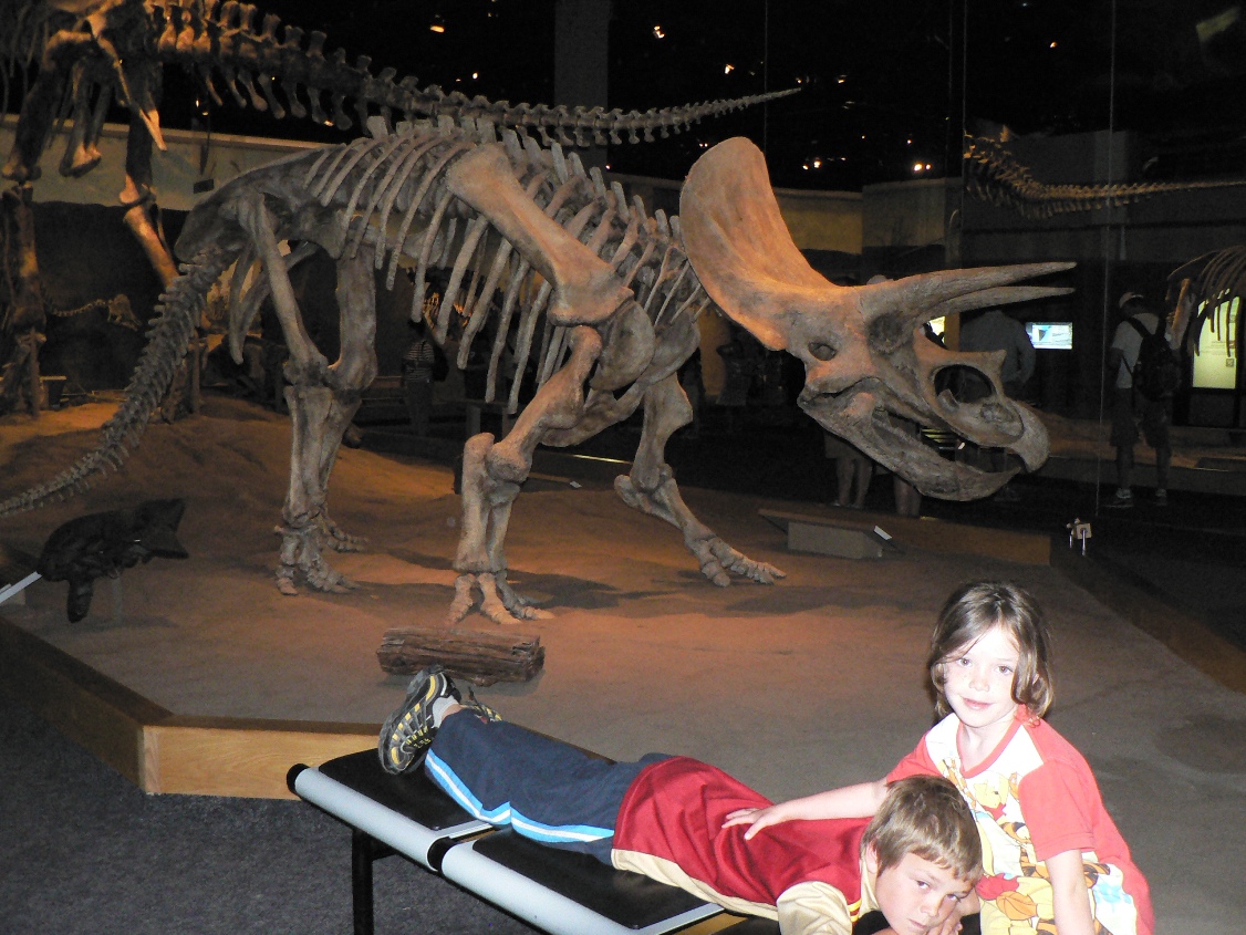 Ken Cross in Canada 2012 birds, nature & birds Drumheller and the