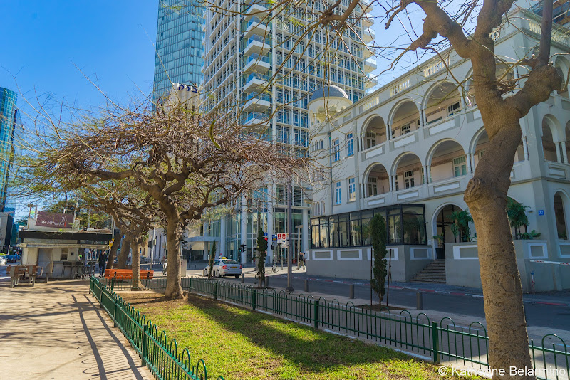 Rothschild Boulevard Things to Do One Day in Tel Aviv