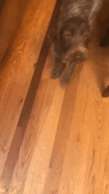 daily_gifdump_3610_32.gif