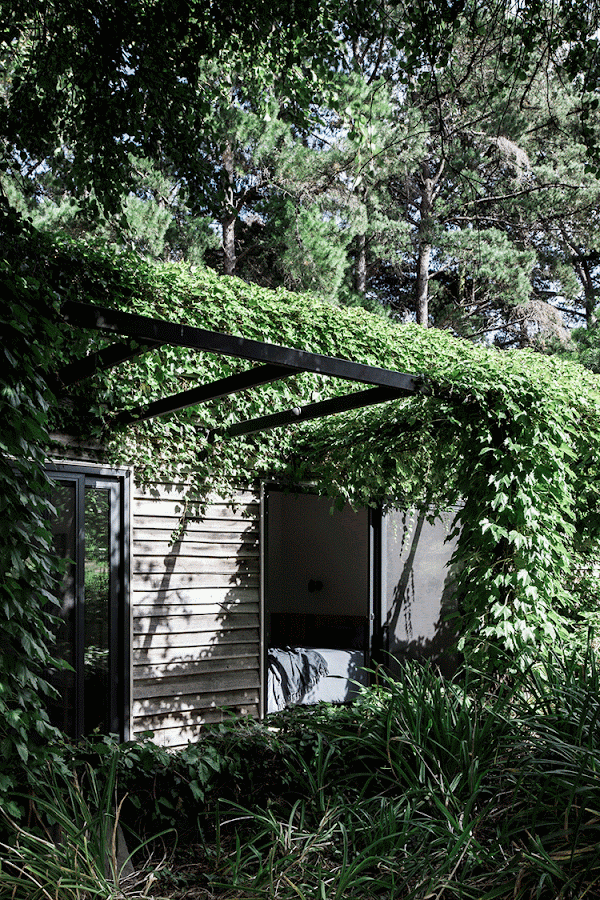 Madera, líneas depuradas y piezas de diseño para una casa de campo