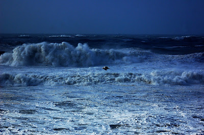 Resultado de imagem para esmoriz hd