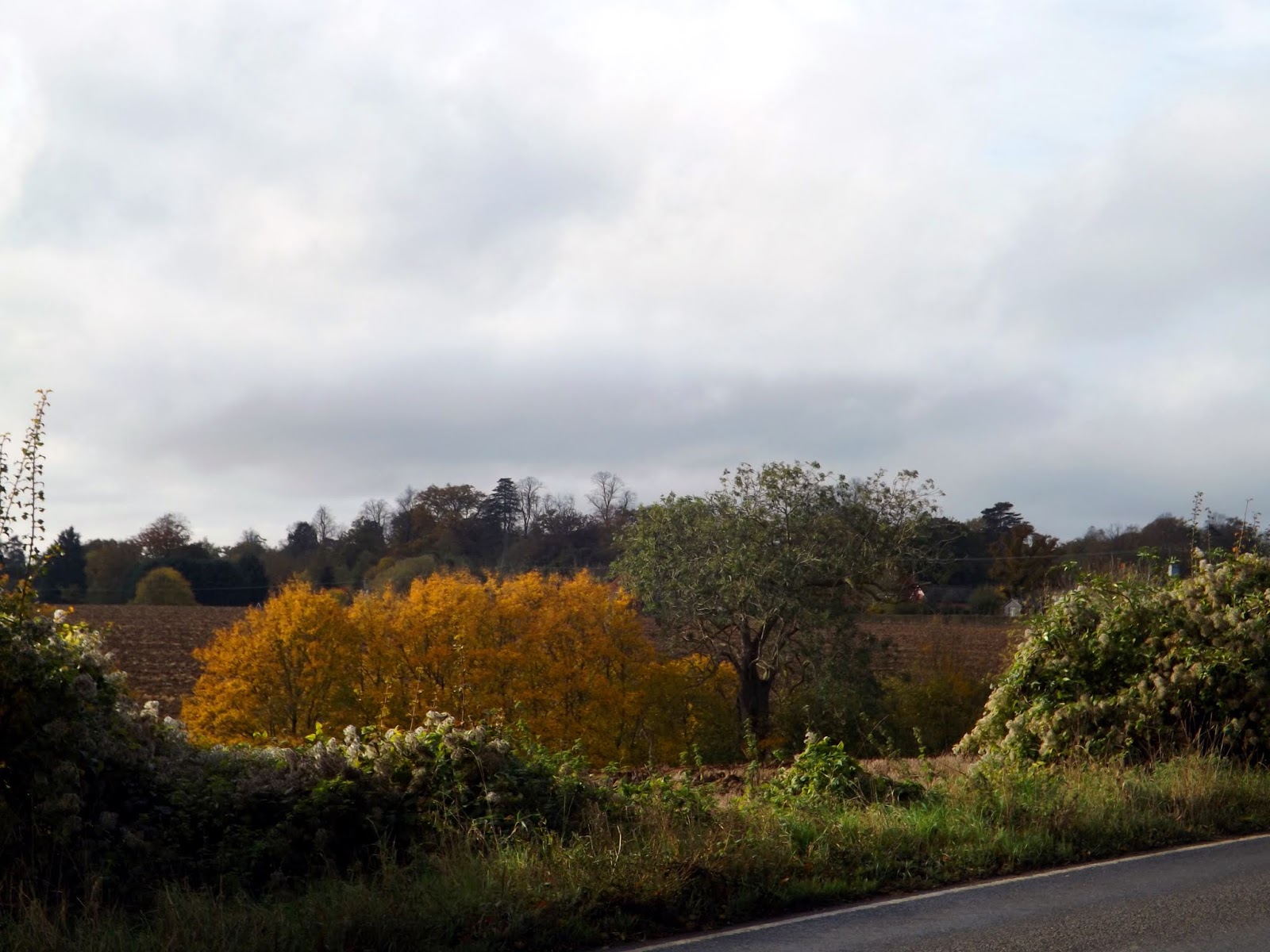 My Adventures 3 Halstead,Essex Circular Walk 4th November 2019