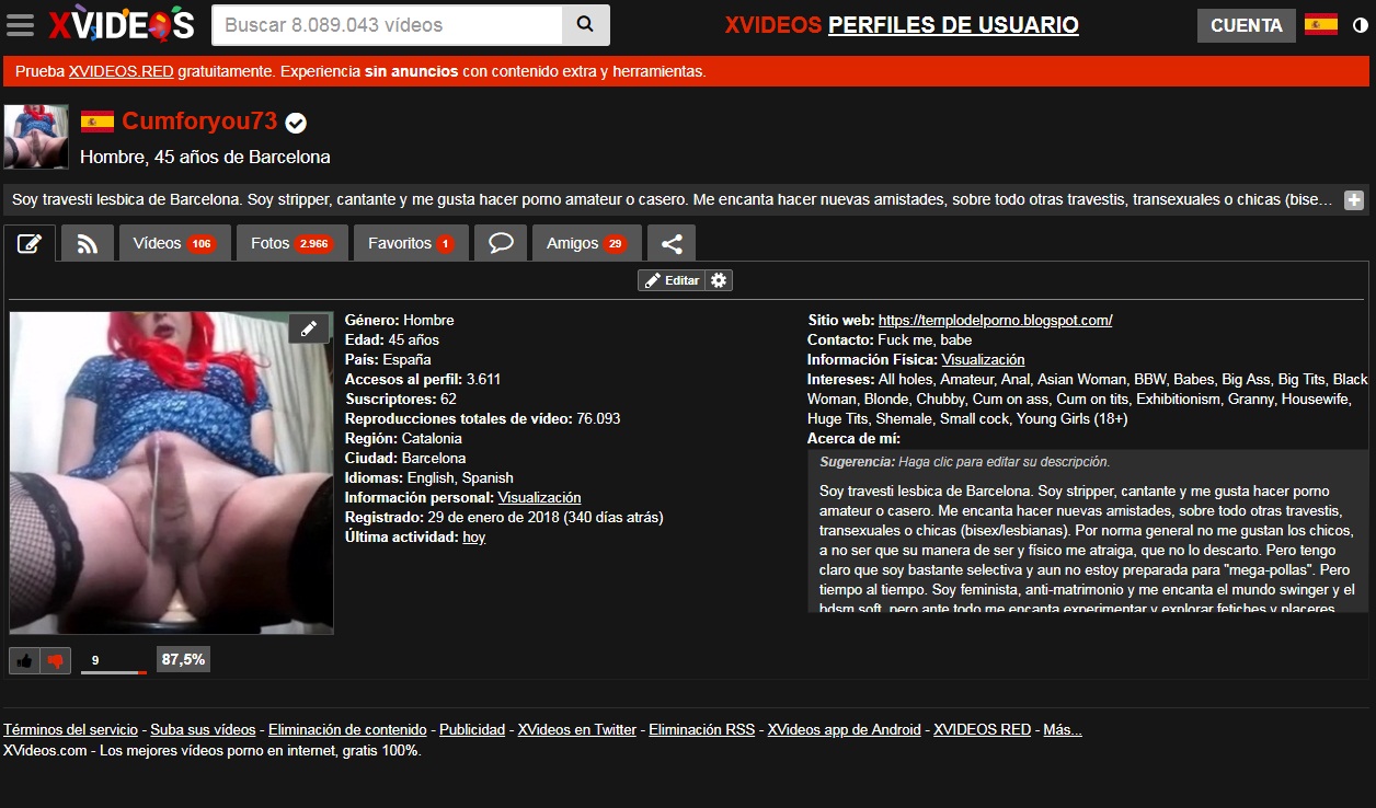 Mi Perfil en XVideos