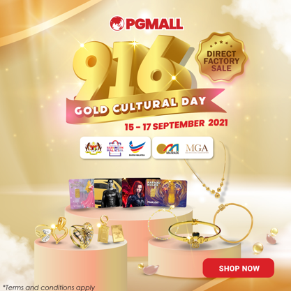 PG mall online shopping platform in Malaysia  review