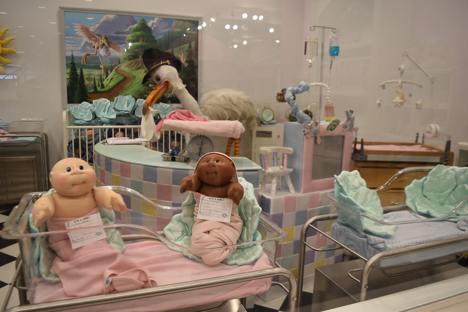 cabbage hospital