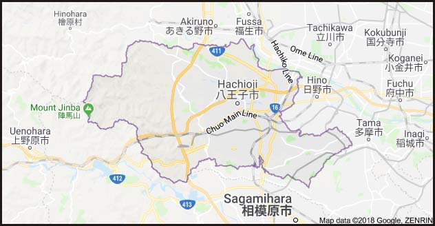 Edo The Edopedia Hachioji District