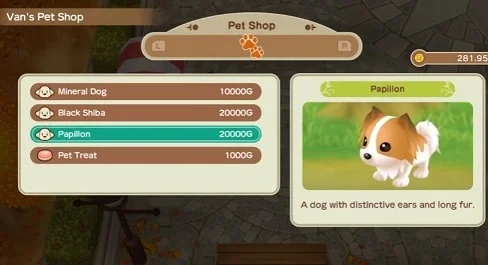 Story of Seasons: Friends of Mineral Town Pets