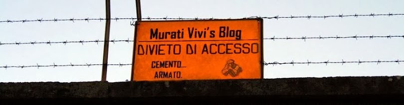 Murati Vivi's Blog