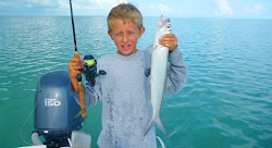 ladyfish jumping fishing fox august rods loads ultralight were fun