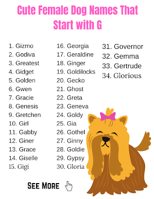 cute dog names for girls unique cute dog names for girls unique