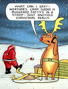 Funny Christmas pictures