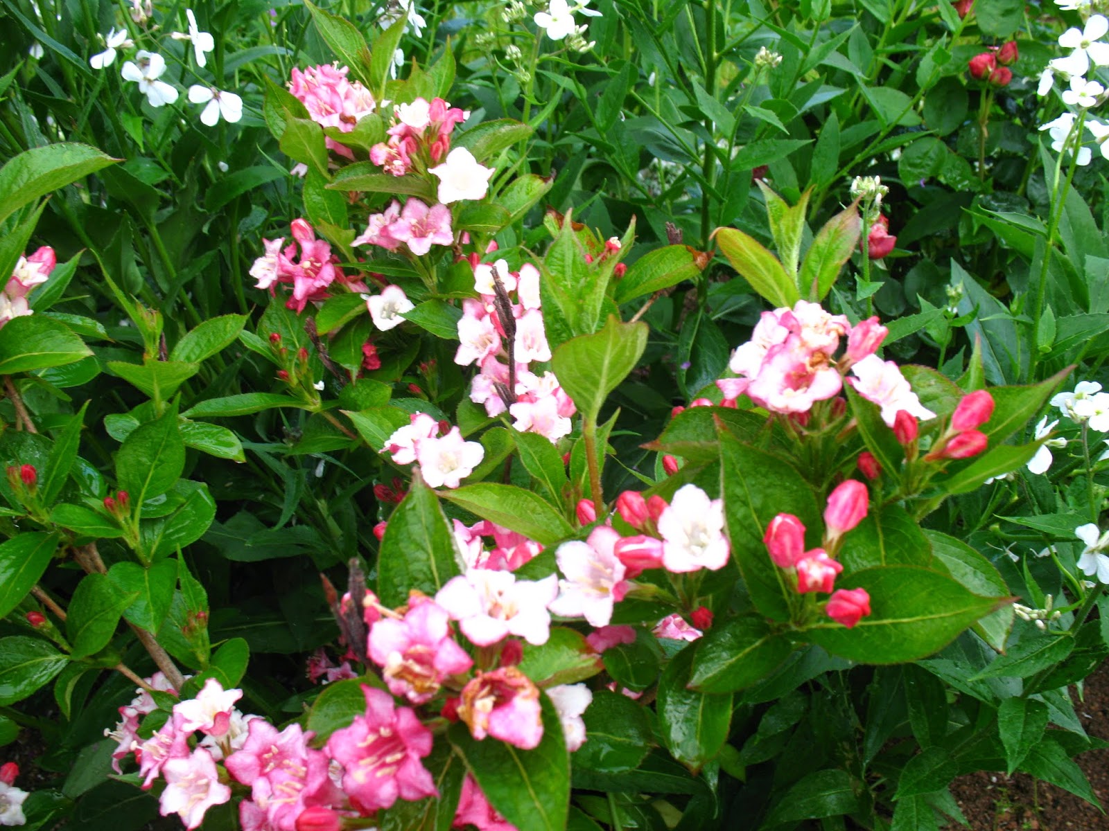 Preisliste 2012 Preis