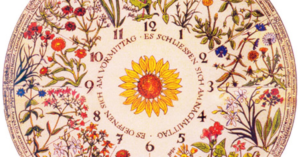 The Gardening Apprentice The Garden (Poem) by Andrew Marvell