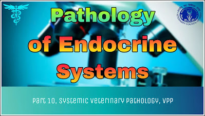 Pathology of Endocrine Systems