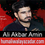 https://humaliwalaazadar.blogspot.com/2019/08/ali-akbar-ameen-nohay-2020.html