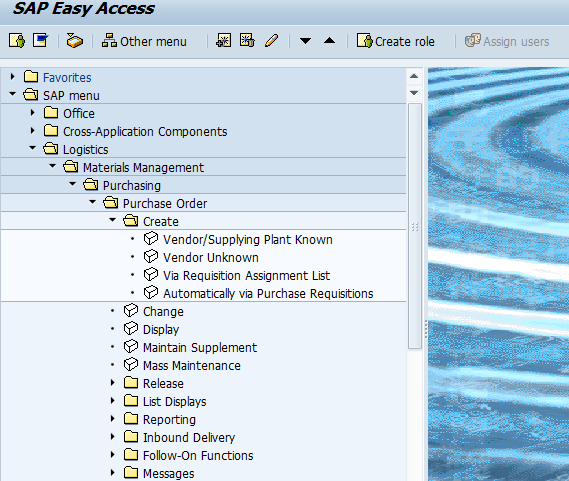 SAP Screen Cast Display Transaction Name In SAP Menu