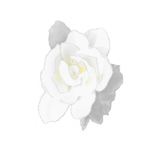 Notes from Nancy: Lovely Gardenia