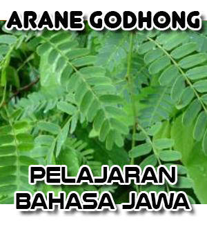 Arane Godhong Daun Pelajaran Bahasa Jawa Sinichinet
