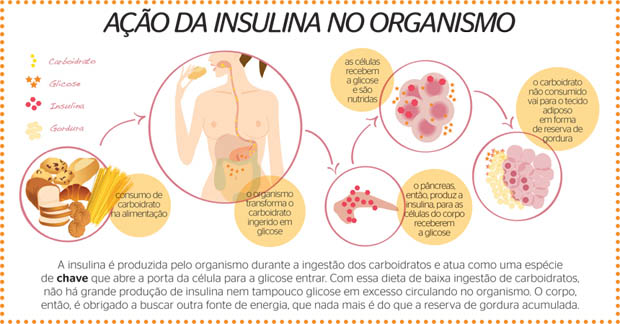 Resistencia insulina adelgazar