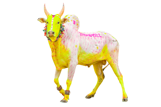 mutharaiyar media mutharaiyar media