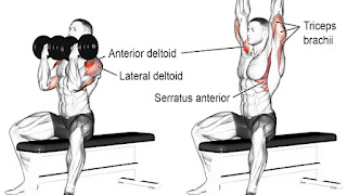 Arnold Shoulder press Top 5 Exercises For Building 3D Shoulders