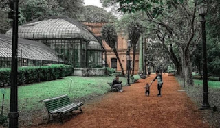 Jardín Botánico de la Ciudad. El invernadero de Palermo. 3 botanico%2B222