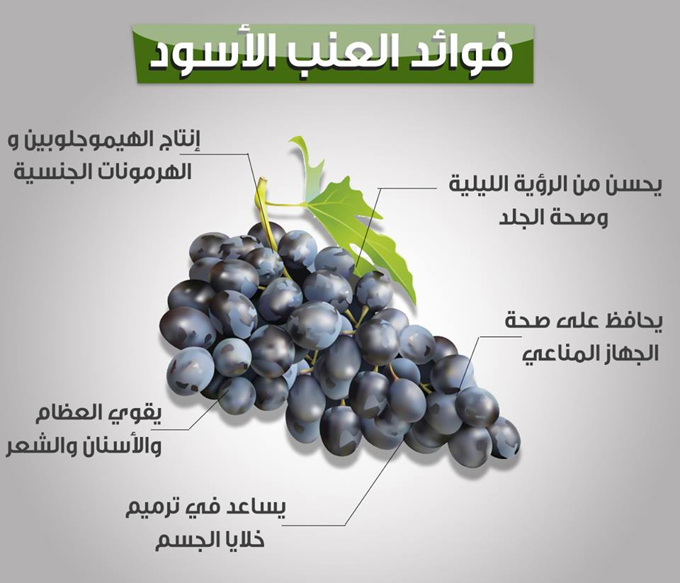 فوائد العنب الأسود يحافظ على صحة القلب ويقوي الذاكرة والنظر