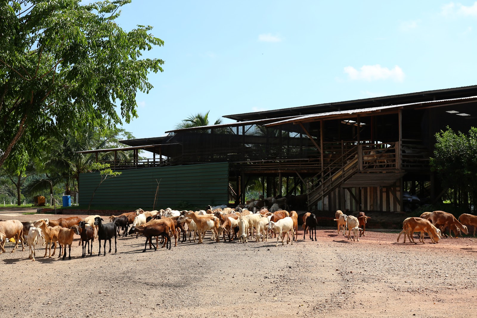 UK Farm Agro Resort, Kluang