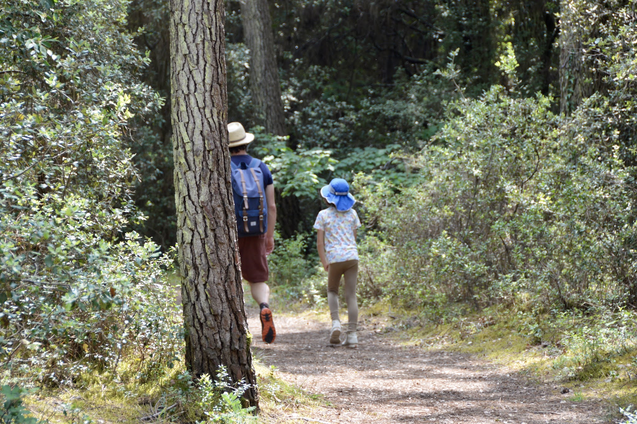 BALADE-FORÊT-FAMILLE-VENDEE-RANDONNÉE