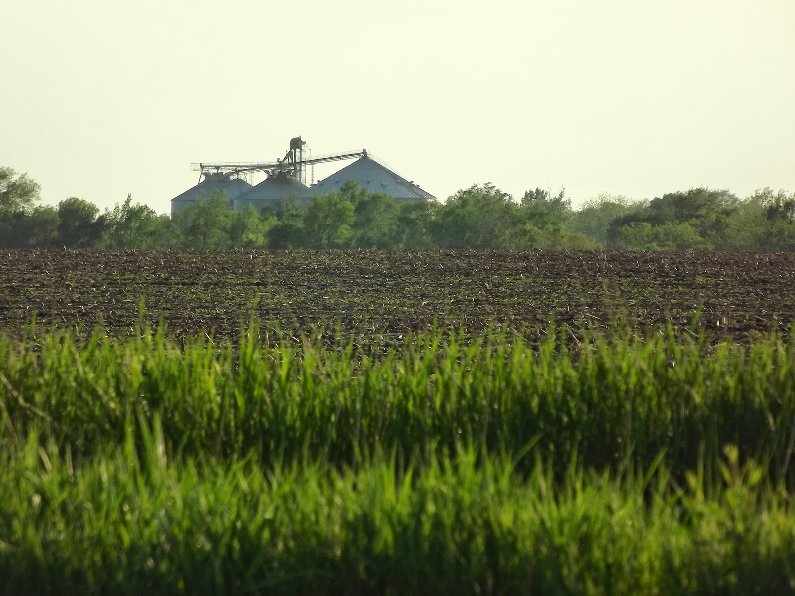Cedar Cemetery Gallery