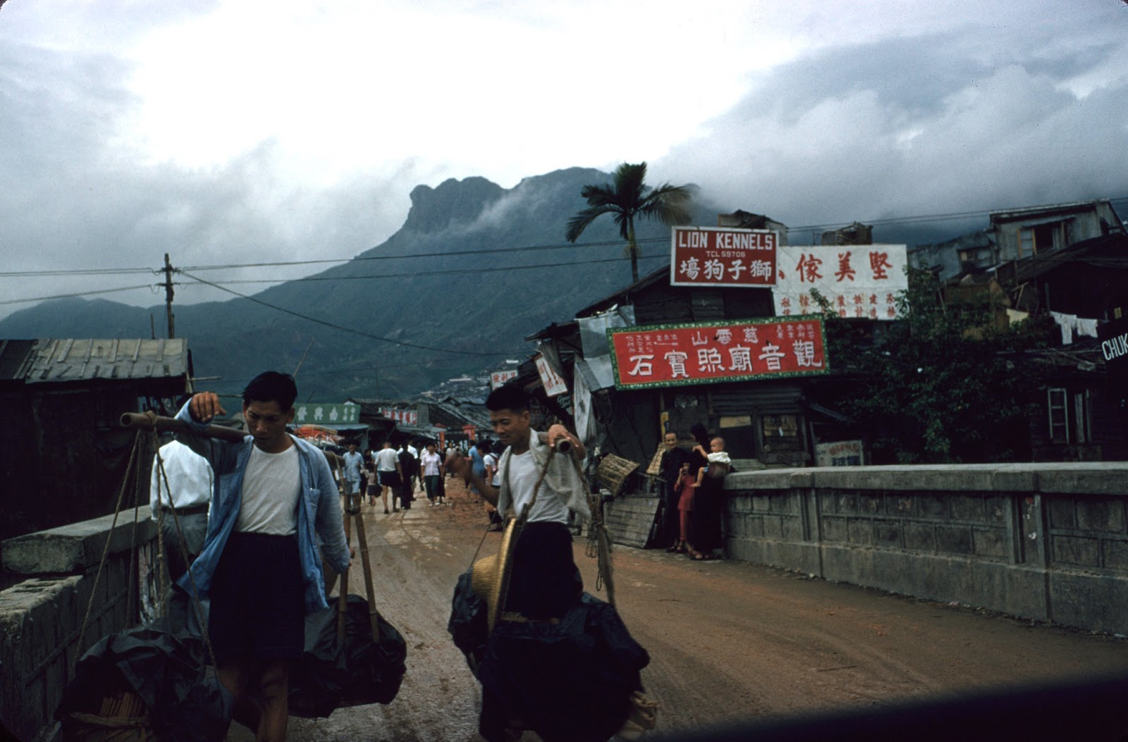 hong kong photographs 1950s